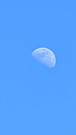 PXL_20250406_135254172.jpg