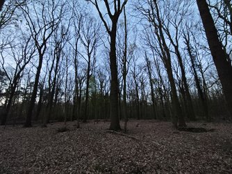 1000009781.jpg