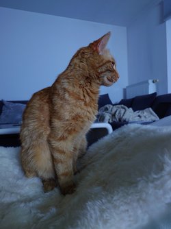 20250406_225549.JPG