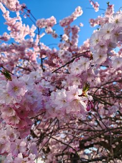 IMG_20250404_175559.jpg