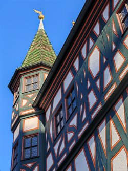 IMG_20250406_172043.jpg
