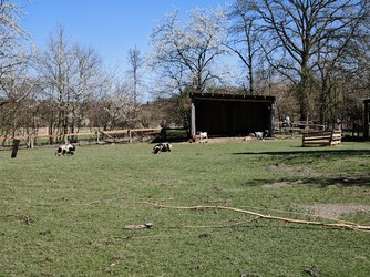 IMG_20250406_143144.jpg
