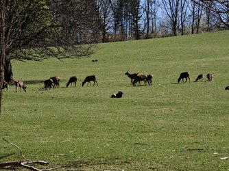IMG_20250406_134204.jpg