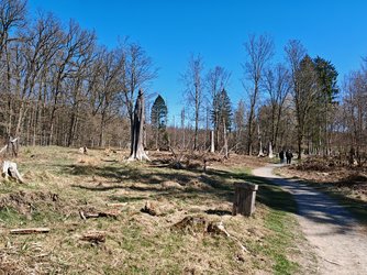 IMG_20250406_133122.jpg