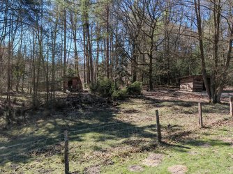 IMG_20250406_125958.jpg