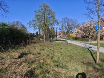 IMG_20250406_171716.jpg