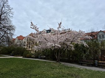 20250407_105551.jpg