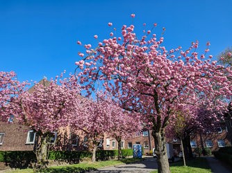 Gcam20250407_110359779.jpg