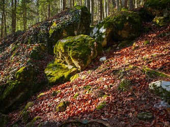 IMG_20250403_095123-Verbessert-RR.jpg