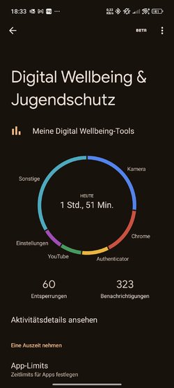 Screenshot_2025-04-07-18-33-08-141_com.google.android.apps.wellbeing.jpg