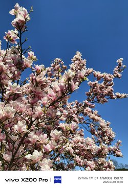 IMG_20250404_175351.jpg