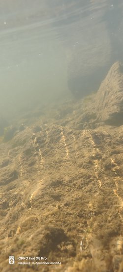 IMG20250408123339.jpg
