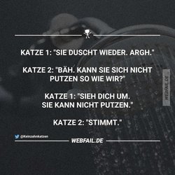 sieputz.jpg