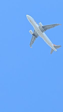 PXL_20250408_121526838.jpg