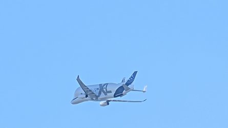 PXL_20250408_140509325.jpg
