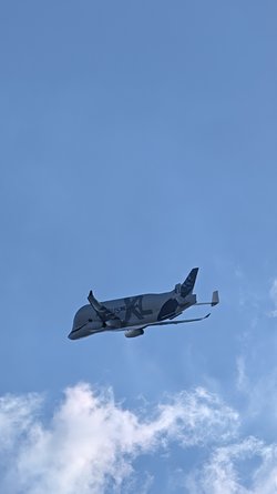 PXL_20250408_140451351.jpg