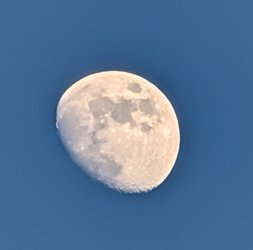 PXL_20250408_175653112~3.jpg
