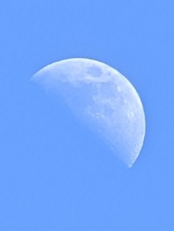 PXL_20250306_125755931.jpg