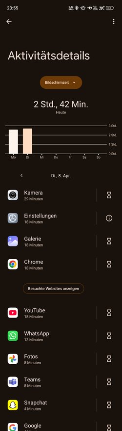 Screenshot_2025-04-08-23-55-26-089_com.google.android.apps.wellbeing.jpg