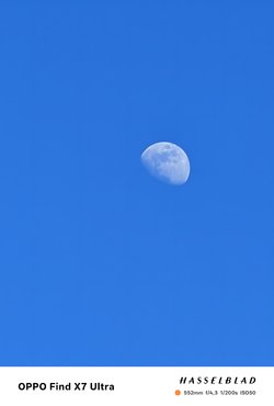 IMG20250407174455.jpg