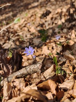 Oppo_IMG20250408163413.jpg
