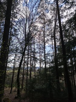 Xiaomi_IMG_20250408_163026.jpg