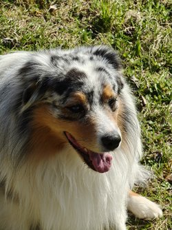 Oppo_IMG20250408162723.jpg