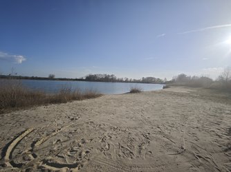 IMG_20250322_164117.jpg