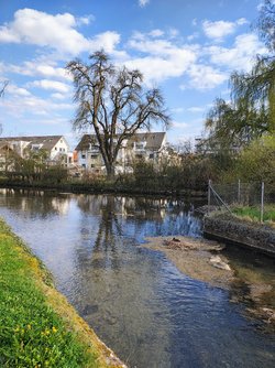 IMG_20250409_173202047_HDR_AE[1].jpg