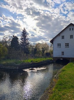 IMG_20250409_173113289_HDR_AE[1].jpg