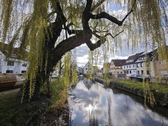 IMG_20250409_172625[1].jpg