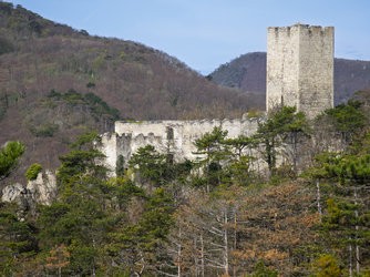 IMG_20250409_103402-Verbessert-RR.jpg