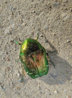 IMG_20250409_171331085.jpg