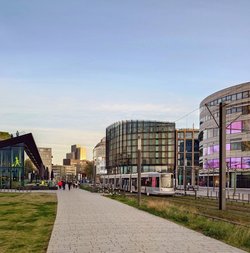 20250409_194950 (1).JPG