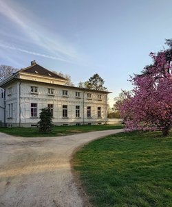 20250409_185743 (1).JPG