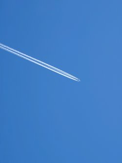 20250406_125539.JPG