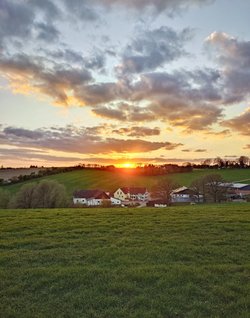 20250331_194922 (1).JPG