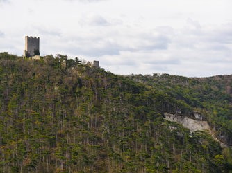 IMG_250409_102913-Verbessert-RR-2.jpg