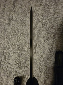 20250410_135412.jpg