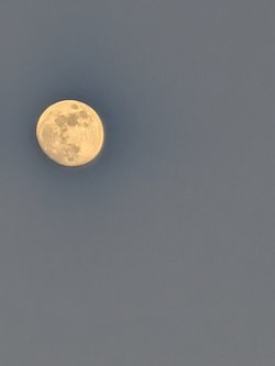 PXL_20250410_181044339.jpg