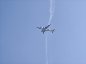 IMG20250310134651.jpg