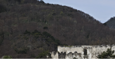 QM 103402 JPG crop.png