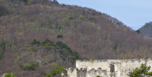 QM 103402 Raw crop.png