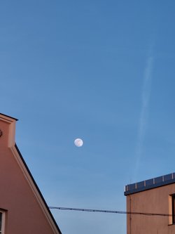 IMG20250410193612.jpg