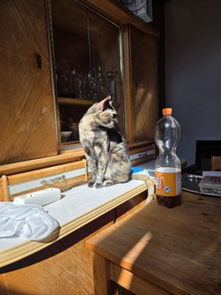 20250405_123121.jpg