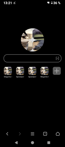 Screenshot_20250411-132117.png