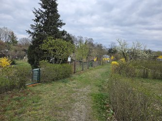 20250411_152339.jpg