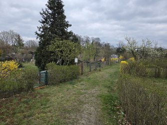 20250411_152254.jpg