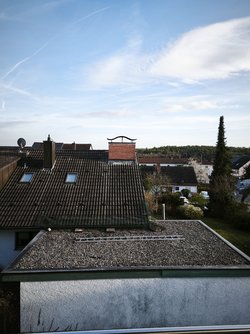 IMG_20250411_182503.jpg