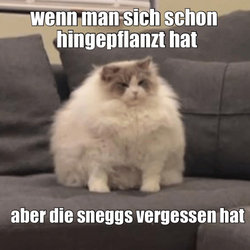 thumbs_picdump929_105.jpg